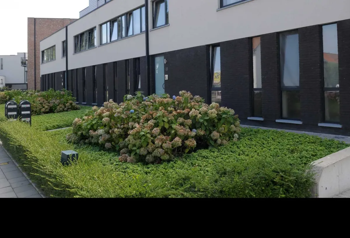 Rijwoningen met groene tuin