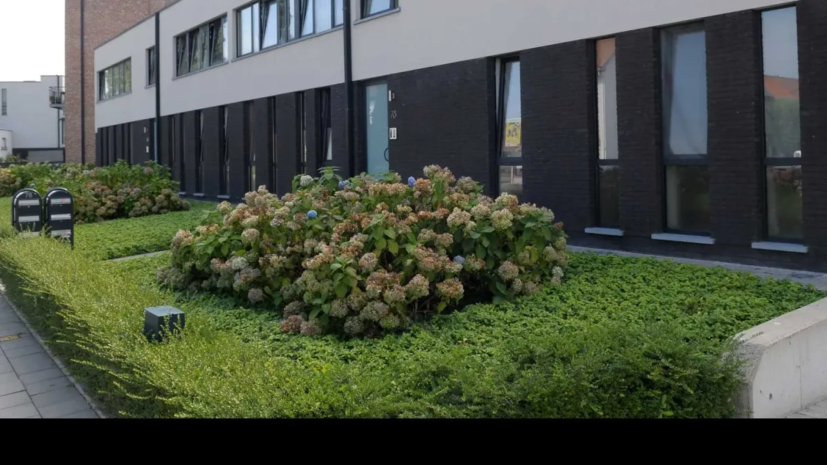 Rijwoningen met groene tuin